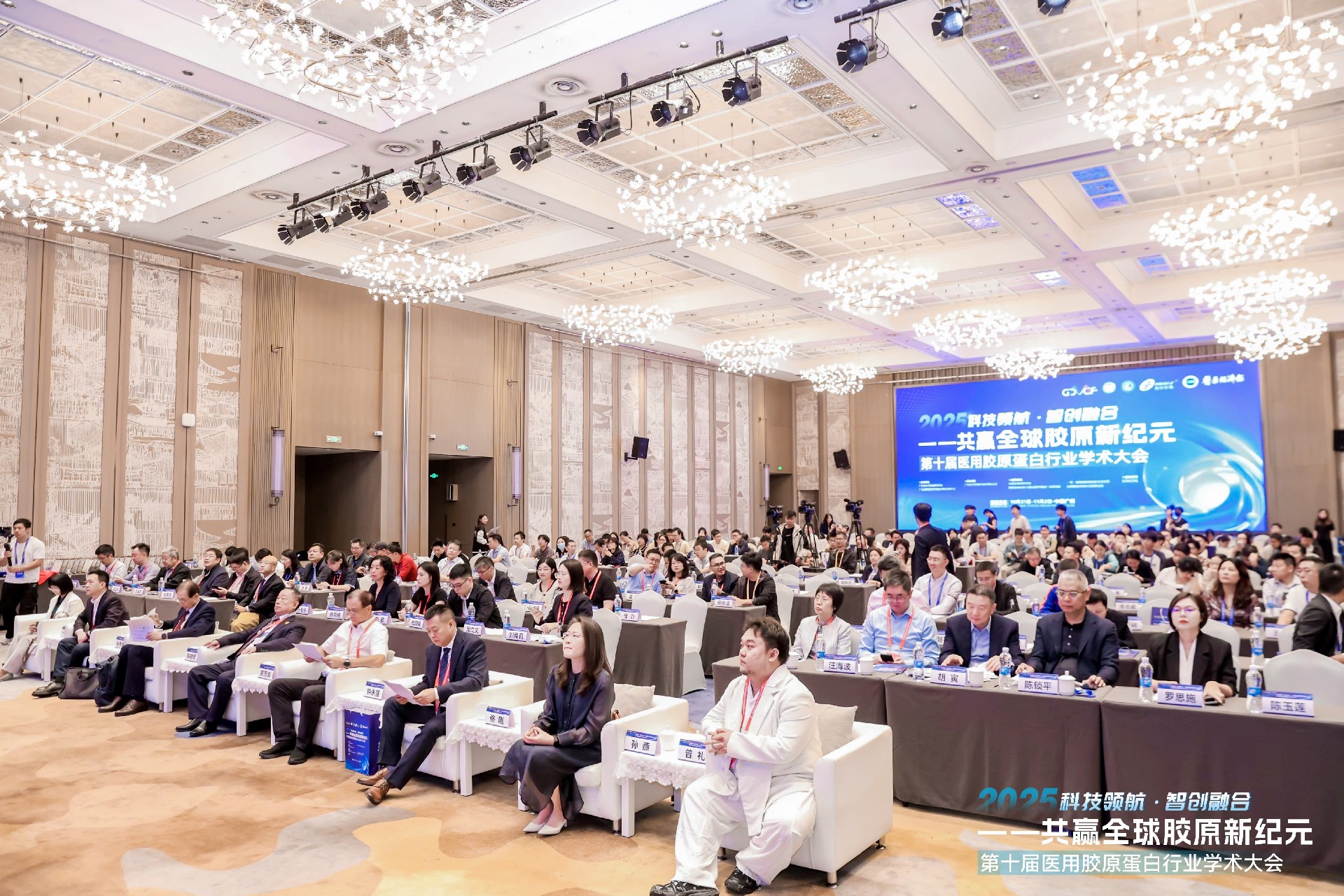 1762839765471851.jpg 1762839765471851.jpg